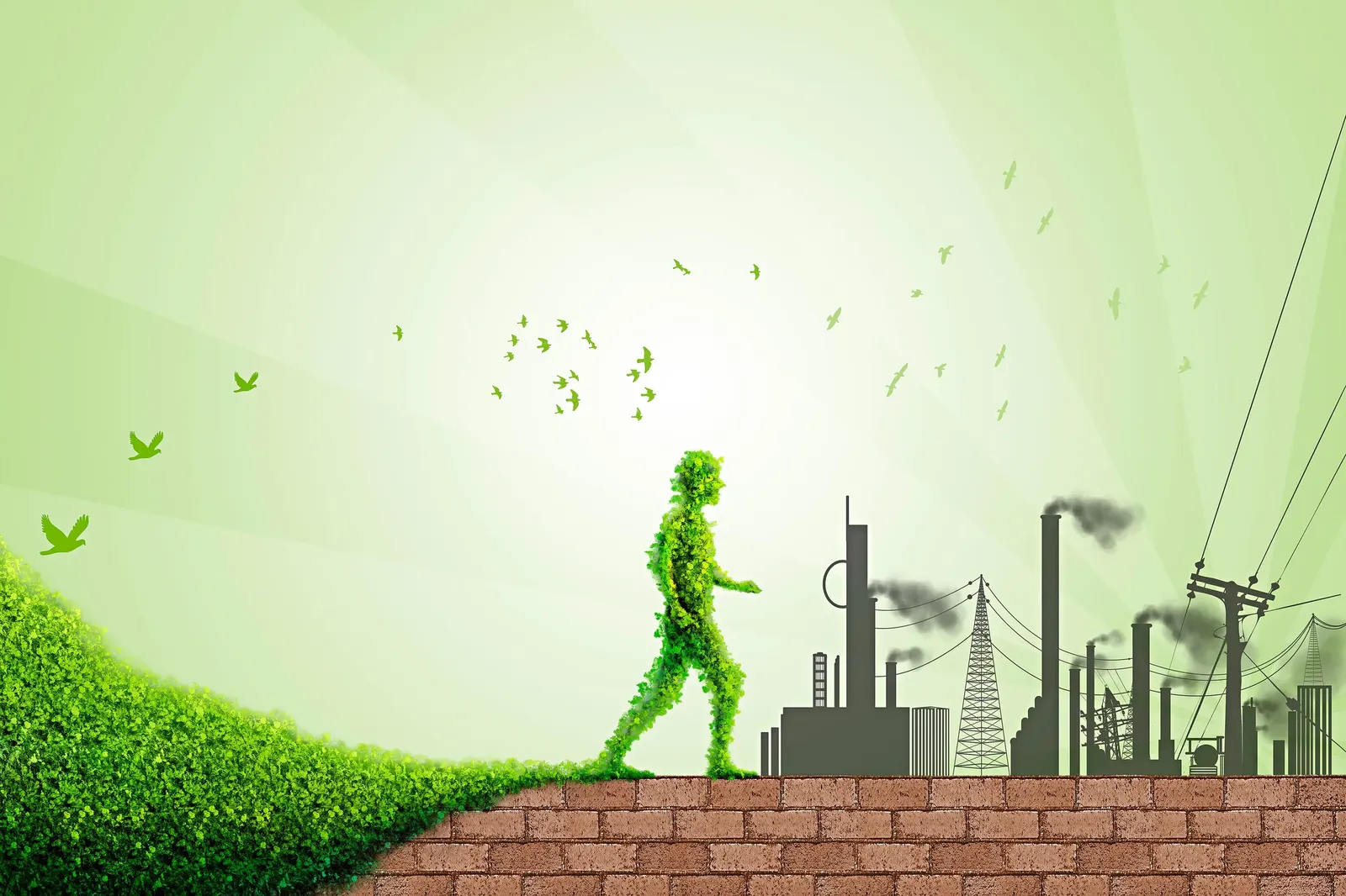 Why the Private Sector Matters for Pakistan’s Development